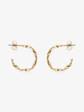 PCDAGNY Earrings - gold colour