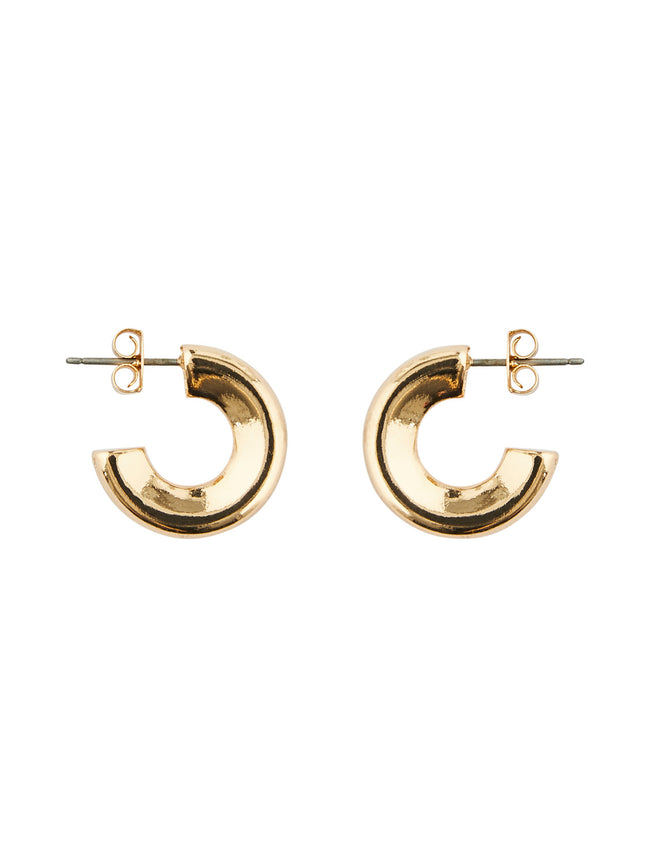 PCNETA Earrings - gold colour